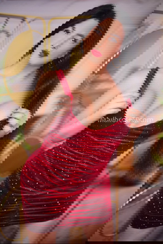 Candela, preciosa trans argentina. 603530955. Citas en MALLORCA, MALLORCA. www.mallorca69.com. Candela, preciosa trans argentina. 603530955. Citas en MALLORCA, MALLORCA. www.mallorca69.com.