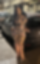 631658242