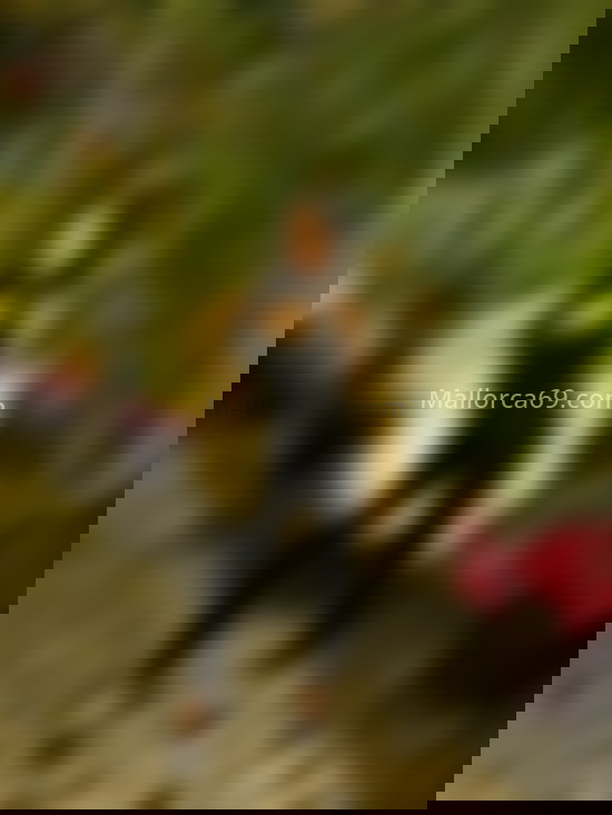 Vicky, argentina . 671619511. Citas en MALLORCA, MALLORCA. www.mallorca69.com. Vicky, argentina . 671619511. Citas en MALLORCA, MALLORCA. www.mallorca69.com.