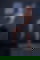 612270229